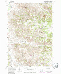 Browns Mountain 1966 topographic map thumbnail
