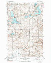 Brush Lake 1946 topographic map thumbnail