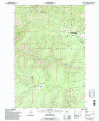 Bubbling Springs 1995 topographic map thumbnail