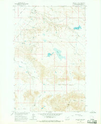 Buckley Lake 1965 topographic map preview
