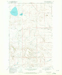 Buffalo Lake 1968 topographic map thumbnail