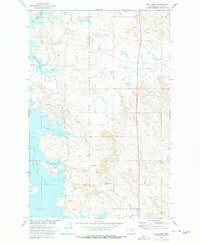 Bug Creek 1973 topographic map thumbnail
