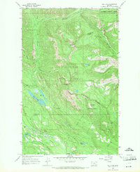 Bull Lake 1966 topographic map thumbnail