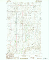 Burnett Creek 1984 topographic map thumbnail