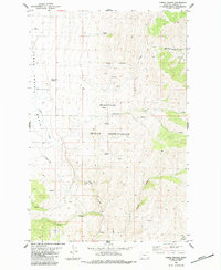 Camas Prairie 1984 topographic map thumbnail