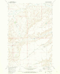 Camp Four 1969 topographic map thumbnail
