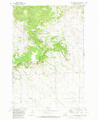 Camp Needmore 1980 topographic map thumbnail