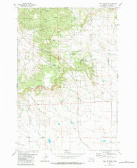 Camp Needmore 1980 topographic map thumbnail