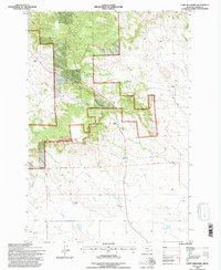 Camp Needmore 1993 topographic map thumbnail