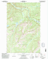 Capitol Mountain 1994 topographic map thumbnail