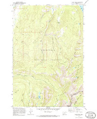Carpp Ridge 1971 topographic map thumbnail