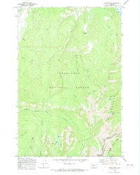 Carpp Ridge 1971 topographic map thumbnail