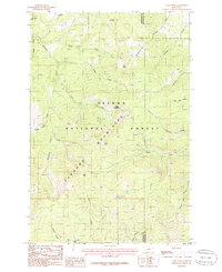 Casey Peak 1985 topographic map thumbnail
