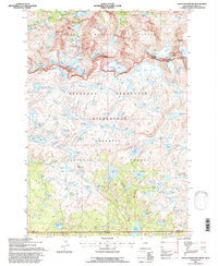 Castle Mountain 1991 topographic map thumbnail