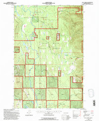 Cilly Creek 1994 topographic map thumbnail
