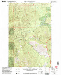 Coney Peak 1999 topographic map thumbnail