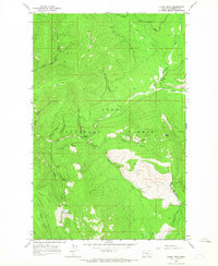 Coney Peak 1964 topographic map thumbnail