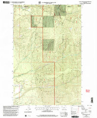 Cook Mountain 1999 topographic map thumbnail