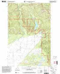 Coopers Lake 1999 topographic map thumbnail
