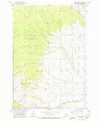 Coyote Creek 1978 topographic map thumbnail