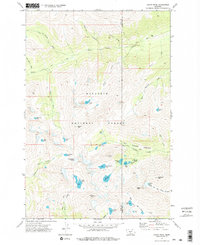 Crazy Peak 1972 topographic map thumbnail