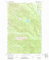 Cyclone Lake 1966 topographic map thumbnail