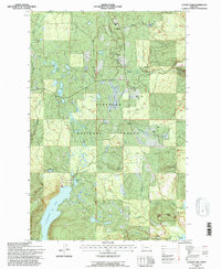Cygnet Lake 1994 topographic map thumbnail