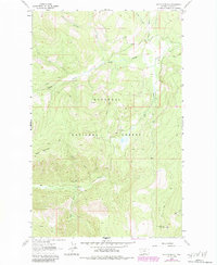 Davis Mountain 1963 topographic map thumbnail