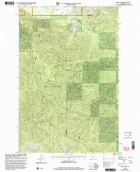Deer Peak 1999 topographic map thumbnail