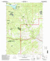 Delmoe Lake 1996 topographic map thumbnail