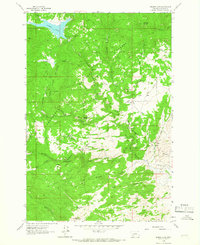Delmoe Lake 1963 topographic map thumbnail