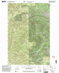 Diamond Point 1999 topographic map thumbnail
