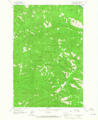 Diamond Point 1964 topographic map thumbnail