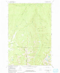 Dick Creek 1964 topographic map thumbnail