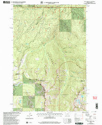 Dick Creek 1999 topographic map thumbnail