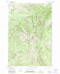 Dickie Peak 1961 topographic map thumbnail