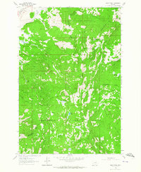 Dickie Peak 1961 topographic map thumbnail