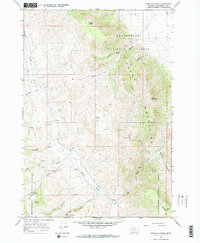 Dixon Mountain 1965 topographic map thumbnail