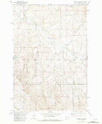 Dorothy Draw 1981 topographic map thumbnail