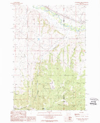 Dunkleberg Creek 1989 topographic map thumbnail