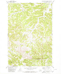 Dunn Mountain North 1980 topographic map thumbnail