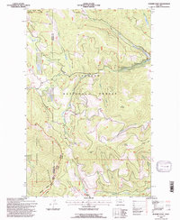 Dunsire Point 1994 topographic map thumbnail