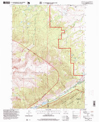 Emerald Lake 1996 topographic map thumbnail