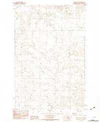 Emily Coulee 1983 topographic map preview