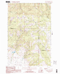 Esmeralda Hill 1989 topographic map thumbnail