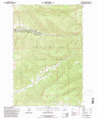 Ettien Spring 1995 topographic map thumbnail