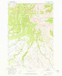Fairview Peak 1951 topographic map thumbnail