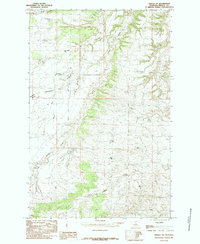 Fergus NE 1985 topographic map thumbnail