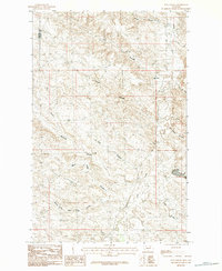 Flat Coulee 1984 topographic map thumbnail