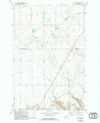 Flick Lake 1965 topographic map thumbnail